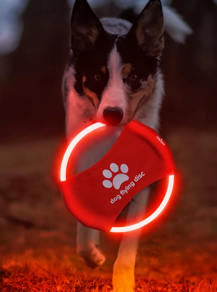 LED Frisbee