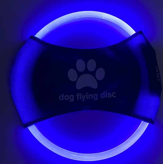 LED Frisbee