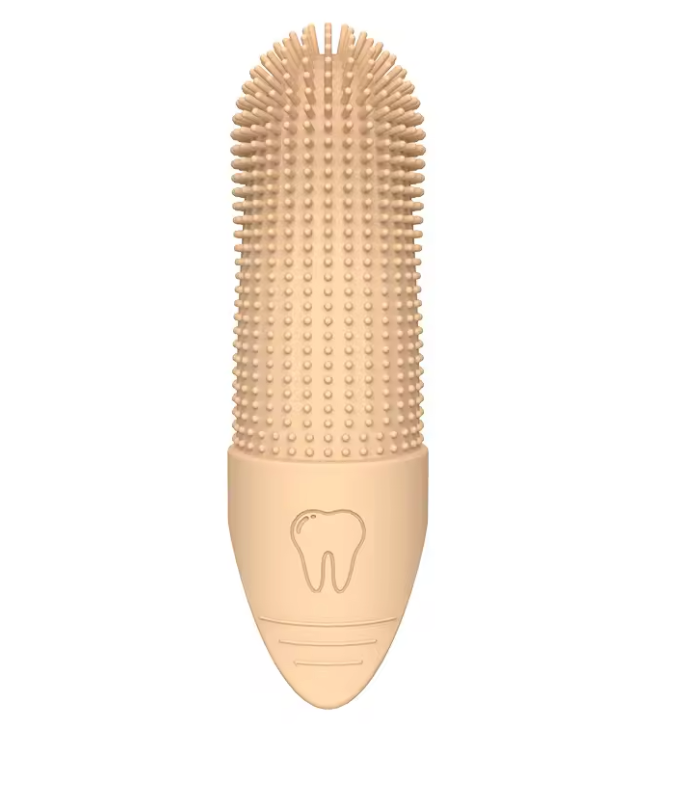 Toothbrush