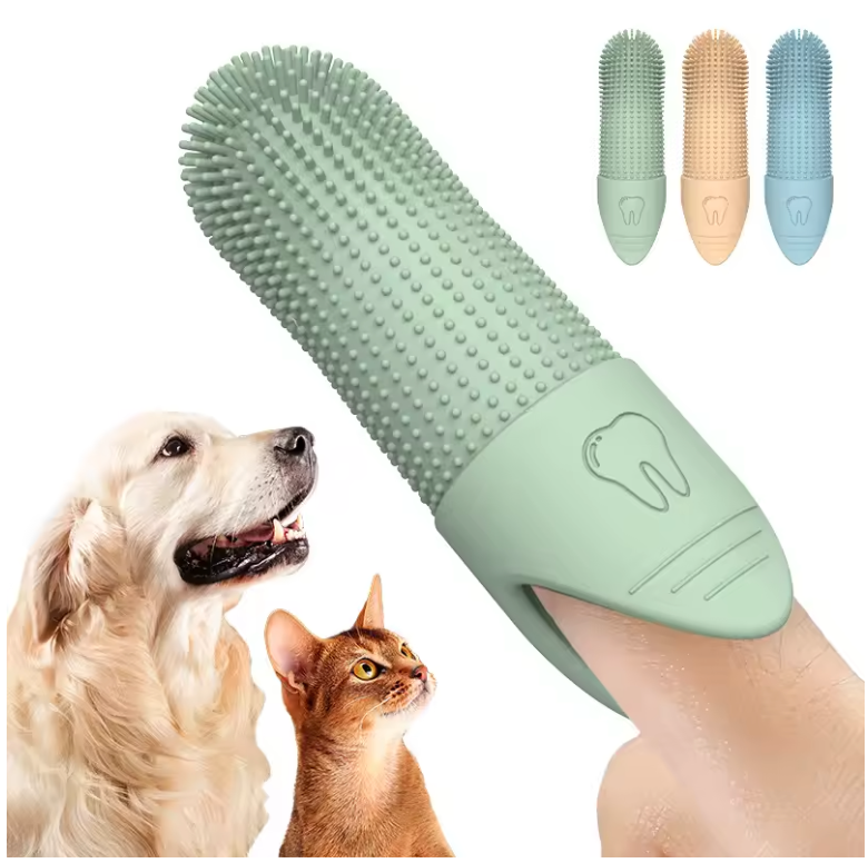 Toothbrush