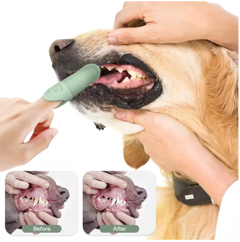 Toothbrush
