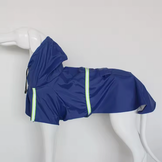 Raincoat