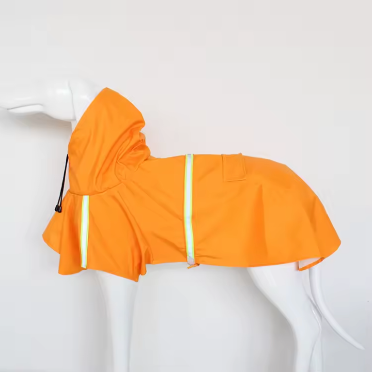 Raincoat