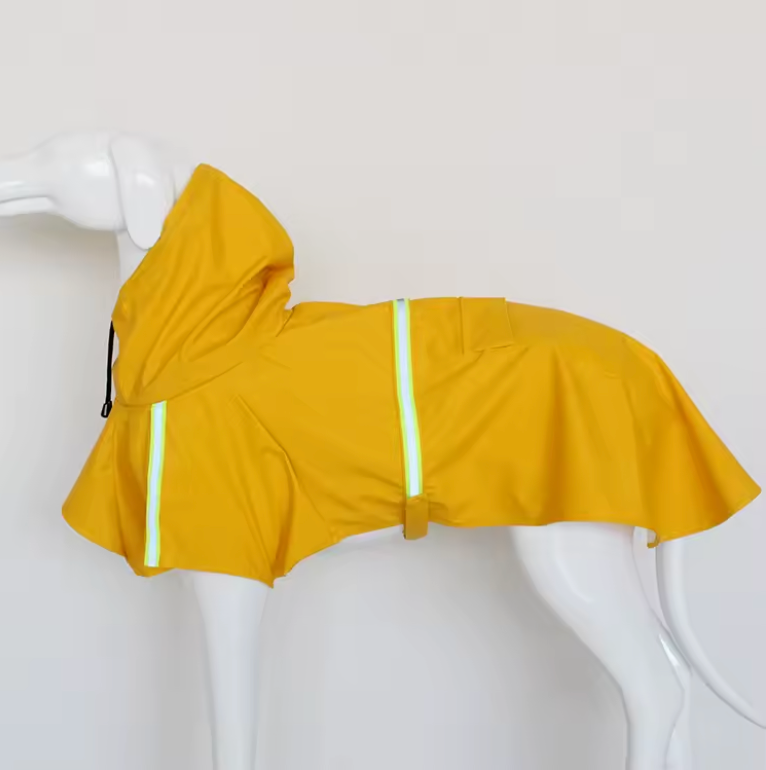 Raincoat
