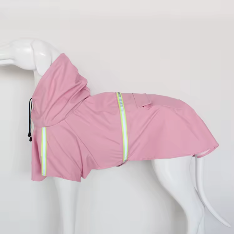 Raincoat