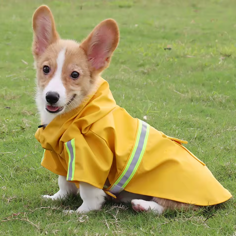 Raincoat